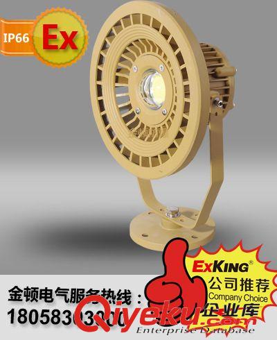 大功率LED防爆燈具，LED防爆投光燈，防爆LED投光燈，IIC防爆燈具