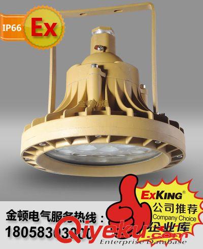 LED防爆燈廠家，30W LED防爆燈具，防爆LED燈具，顆粒LED防爆燈