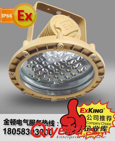 LED防爆燈廠家，LED防爆燈，防爆LED燈具，LED防爆投光燈成本價格