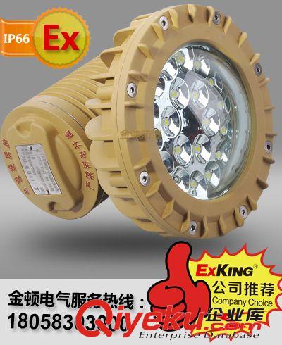 供应多颗小功率20-40W LED防爆灯，内场防爆LED泛光灯，防爆顶灯