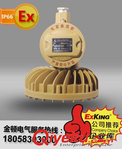 供应多颗小功率20-40W LED防爆灯，内场防爆LED泛光灯，防爆顶灯