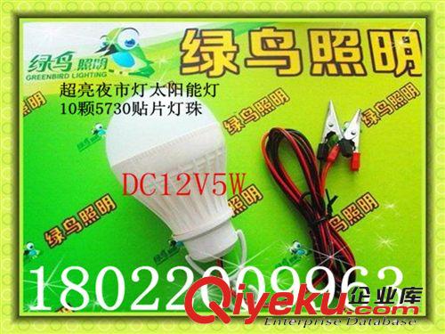 DC12V5W球泡燈 直流12伏led塑料球泡燈 12V太陽能節(jié)能led燈泡3W