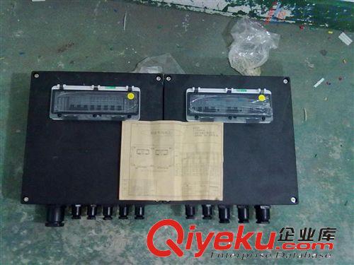 熱銷防爆防腐控制箱(IIC  IP65)  防爆按鈕箱防爆箱 防水箱原始圖片3