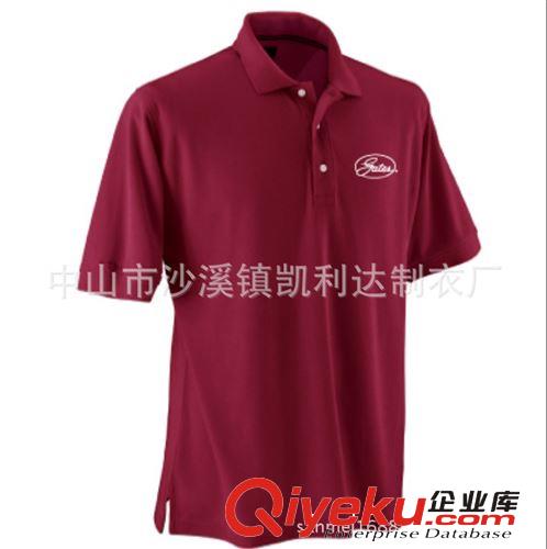 廠家專業(yè)生產(chǎn)優(yōu)質(zhì)POLO衫商務T-shirt衫 來圖來樣訂做 價格合理