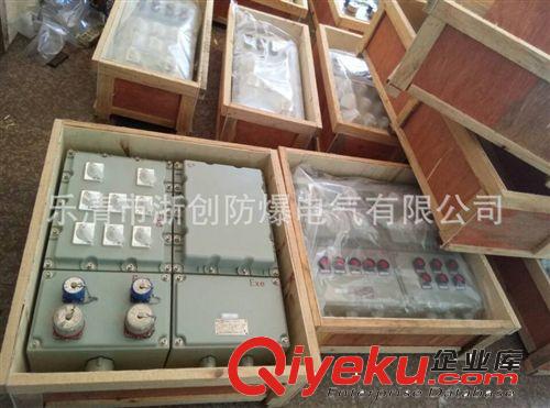 BXMD防爆照明動力配電箱 防爆照明動力配電箱廠家 石油 化工 煤氣原始圖片2