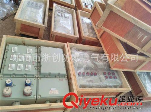 BXMD防爆照明動力配電箱 防爆照明動力配電箱廠家 石油 化工 煤氣原始圖片3