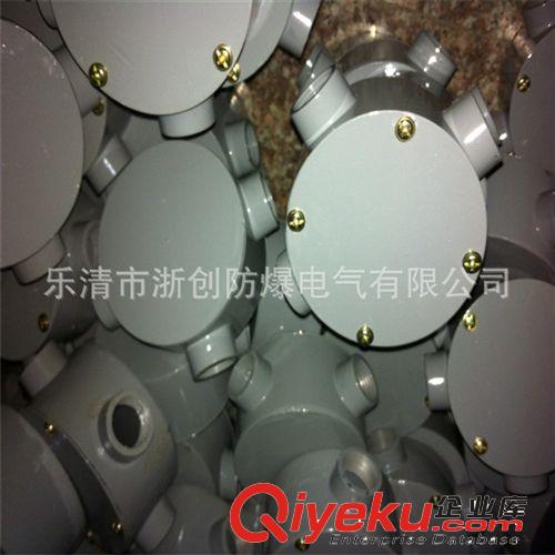 供應(yīng)BZM8030系列，BZM8050系列防爆防腐照明開(kāi)關(guān)，防腐開(kāi)關(guān)