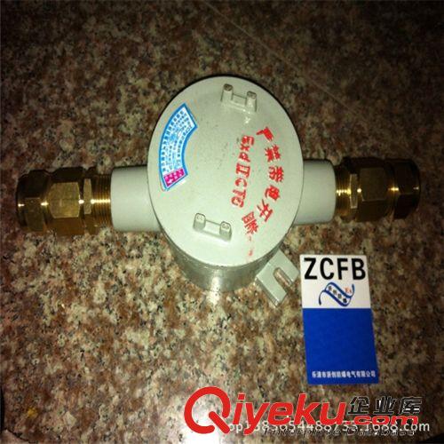 BZK80防爆防腐控制箱（操作柱）AH防爆接線盒IICT6 防爆配電箱廠原始圖片2