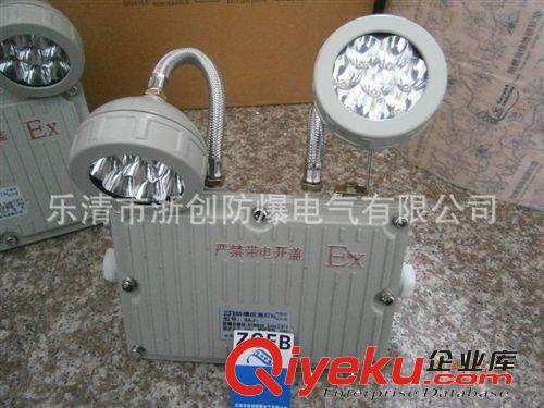 BAD51防爆雙頭應(yīng)急燈 BAD51防爆專用應(yīng)急燈 防爆LED應(yīng)急燈