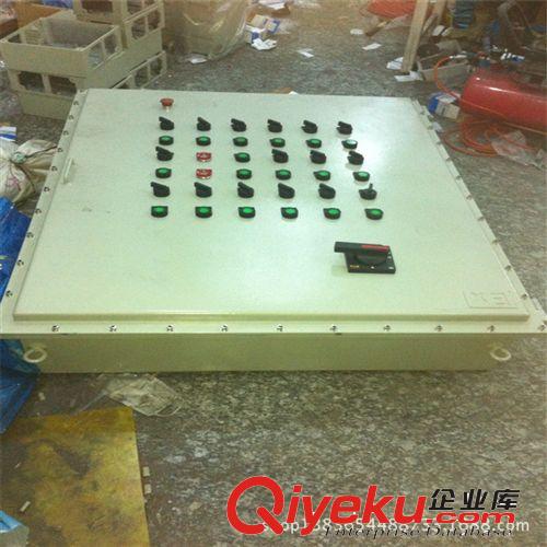 廠AH防爆接線盒IICT6 防雙頭按鈕 :8096 BXX防爆檢修電源箱原始圖片2