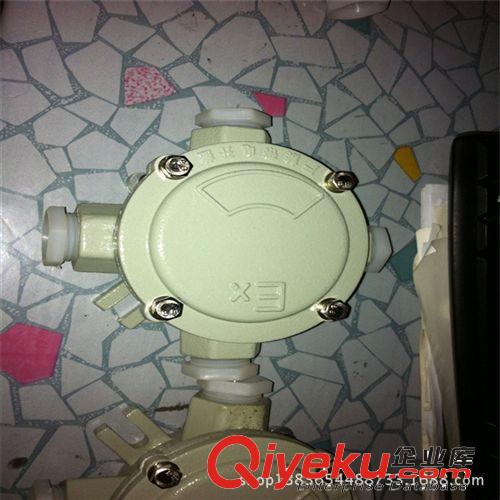 廠AH防爆接線盒IICT6 防雙頭按鈕 :8096 BXX防爆檢修電源箱原始圖片3