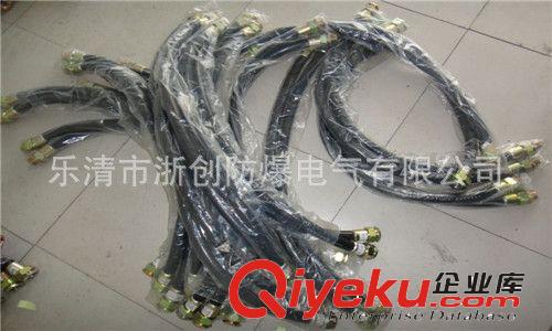 防爆管BNG+防爆撓性管LCNG+防爆連接管 防爆軟管 不銹鋼防爆軟管原始圖片2