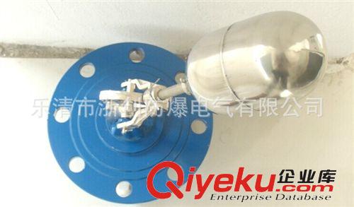 防爆浮球液位控制器/防爆浮球開關(guān)原始圖片3
