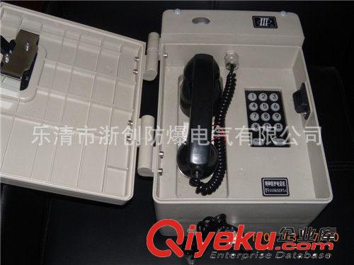 防爆電話價格供應(yīng),防爆電話價格商機(jī)原始圖片2