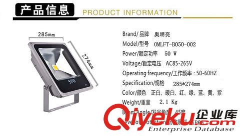 熱銷(xiāo)50WLED投光燈 集成投光燈 LED照明燈具招牌投光燈景觀工地?zé)粼紙D片2