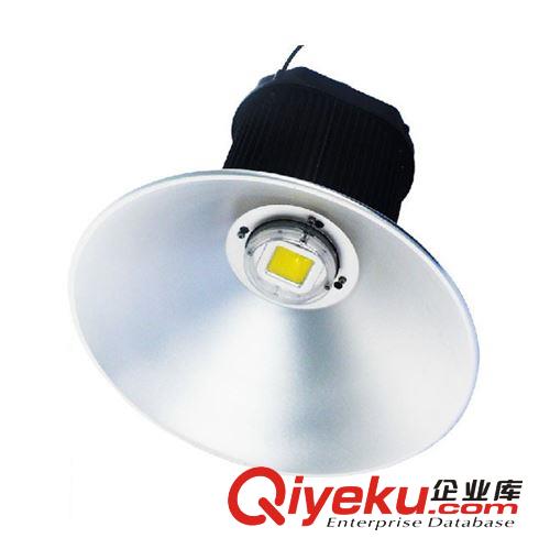 熱銷50W大功率LED工礦燈 led照明亮化燈具 室內(nèi)外照明必備良品