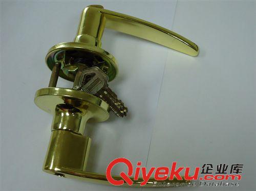 3602 執(zhí)手鎖 LEVER HANDLE LOCK