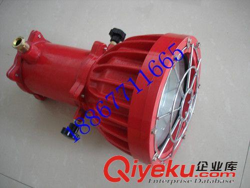 礦用DGS-175w/127v防爆投光燈原始圖片3