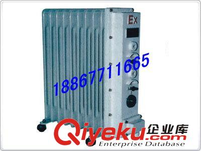 供應(yīng)防爆電加熱器，BDR51-T1.5/9RY,BDR52-1KW/220防爆電加熱器