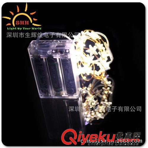 【{zx1}產(chǎn)品】 發(fā)光銅線串燈 ,防水燈串 LED裝飾燈串 彩色燈串原始圖片2