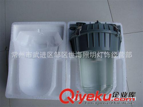 廠家供應(yīng)各種防眩燈 防爆燈  三防燈原始圖片2