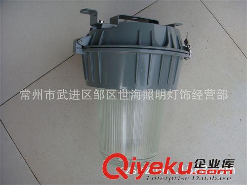 廠家供應(yīng)各種防眩燈 防爆燈  三防燈原始圖片3