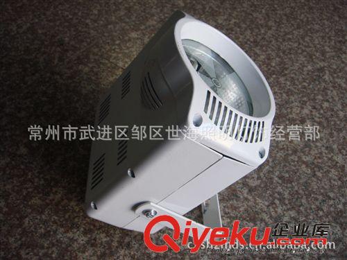 廠家直銷魚眼射燈   70W-150W