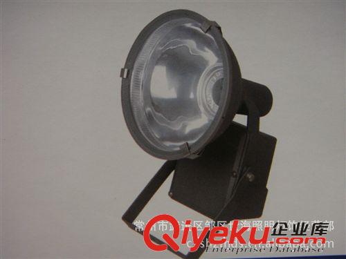 廠家批發(fā)高頻無極燈配件原始圖片3