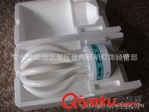 廠家直銷蓮花節(jié)能燈  螺旋節(jié)能燈   直管節(jié)能燈原始圖片2