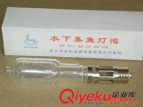 誘魚燈 集魚燈 水下燈泡 水下燈  漁業用具 誘魚燈 水下誘魚燈原始圖片2