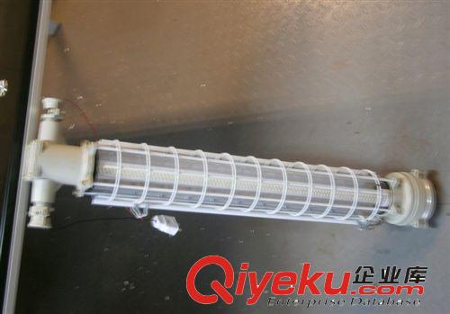 dyd防爆熒光燈dydled 18w 20w 防爆透光燈 防爆熒光燈（LED）原始圖片2