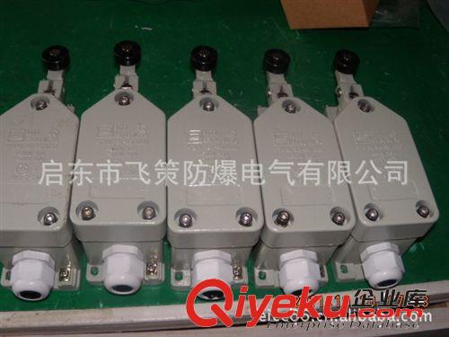 CBXK-6/BZX51-6系列防爆行程開關(guān)(IIB、IIC)飛策原始圖片2