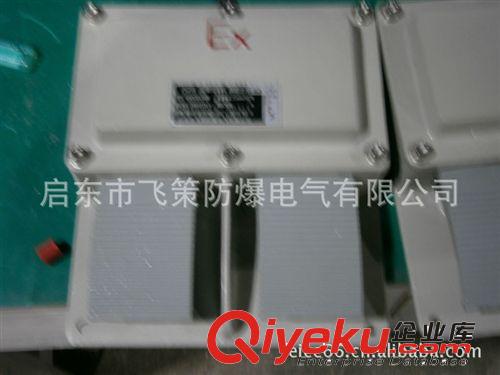 CBXK-6/BZX51-6系列防爆行程開關(guān)(IIB、IIC)飛策原始圖片3