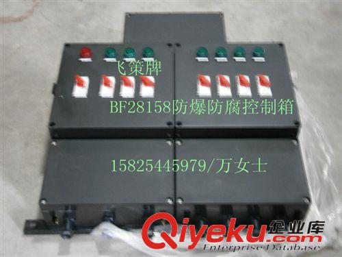BXK58-飛策牌防爆防腐控制箱，防爆控制箱，防爆防腐箱，防爆箱原始圖片2