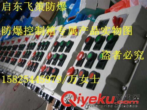 BXK58-飛策牌防爆防腐控制箱，防爆控制箱，防爆防腐箱，防爆箱原始圖片3