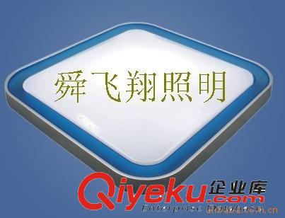 供應時尚新款節能亞克力家居吸頂燈/方形吸頂燈原始圖片3