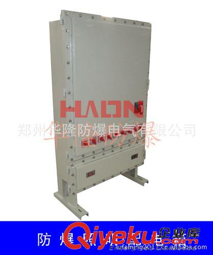 【誠(chéng)信商家】供應(yīng)防爆照明箱，防爆按鈕箱，防爆開(kāi)關(guān)箱原始圖片2