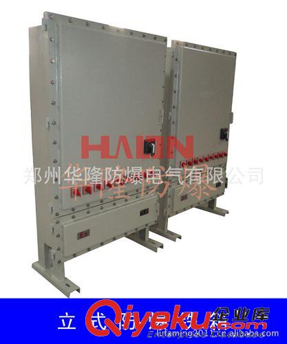 【誠(chéng)信商家】供應(yīng)防爆照明箱，防爆按鈕箱，防爆開(kāi)關(guān)箱原始圖片3