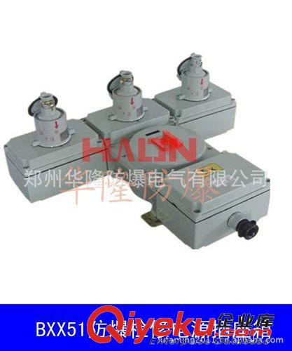 BXX52系列防爆動(dòng)力檢修箱，防爆插座箱生產(chǎn)廠家 防爆檢修箱原始圖片2