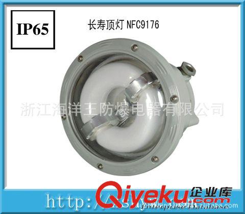 NFC9176長壽頂燈 NFC9176 無極燈 浙江海洋王NFC9176長壽頂燈原始圖片3