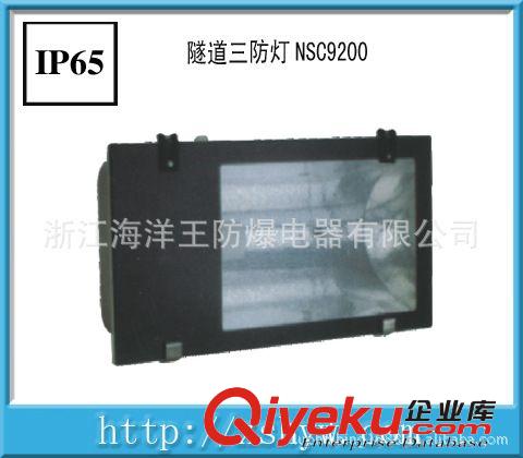 NSC9200隧道燈 浙江海洋王隧道燈 NSC9200 鐵道用隧道燈原始圖片2