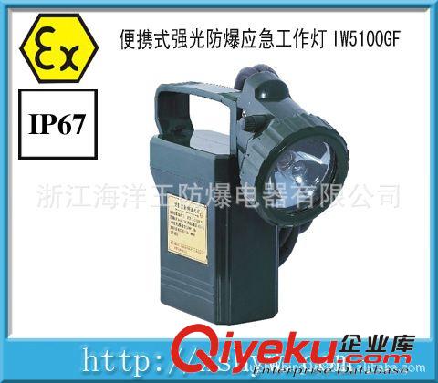 浙江海洋王防爆應(yīng)急工作燈 IW5100GF防爆應(yīng)急工作燈原始圖片2