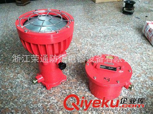 廠家直銷 DGS175/127B(A) 礦用隔爆型投光燈原始圖片2