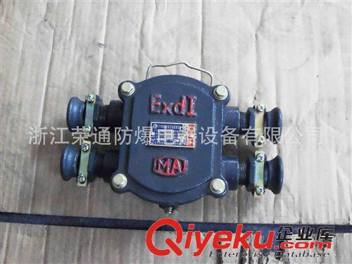 廠家直銷  BHD2-25/380-4T 礦用隔爆型低壓電纜接線盒 H型原始圖片3
