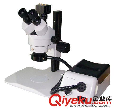 連續變倍顯微鏡 體視顯微鏡 定倍顯微鏡 高清顯微鏡 電子放大鏡原始圖片2