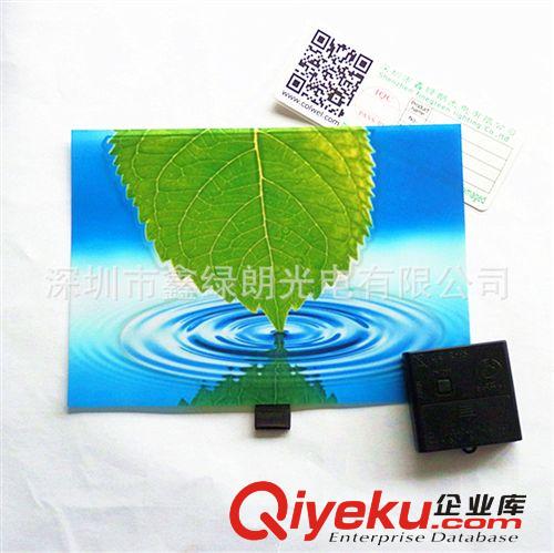 廠家供應(yīng)EL片  冷光源  批發(fā)EL冷光片及配套無(wú)線驅(qū)動(dòng)器原始圖片2