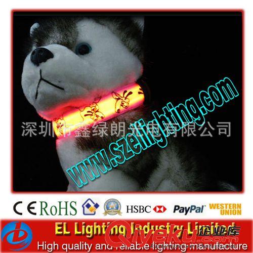 批發led閃光發光項圈，新款發光寵物項圈，七彩項圈雜貨店熱銷品