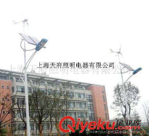 天府照明專業(yè)生產(chǎn)太陽(yáng)能路燈 led路燈 風(fēng)光互補(bǔ)路燈原始圖片2