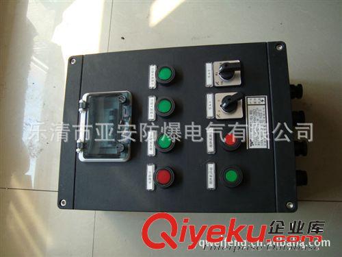供應BXD（M）系防爆防腐照明（動力）配電箱(圖)原始圖片2