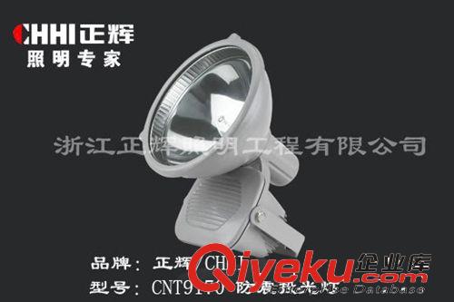 廠家直銷——CNT9170防震投光燈_正輝照明